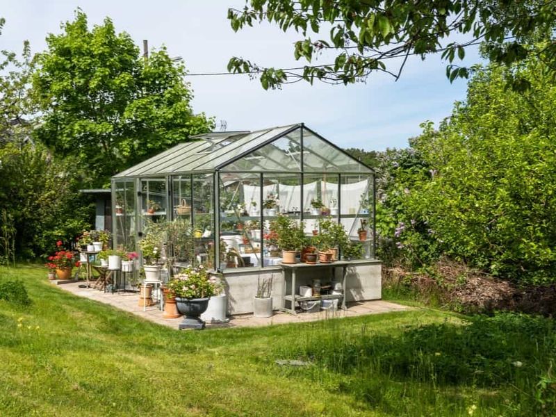 Microclimate Effects