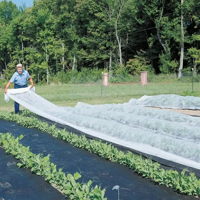 Row Covers