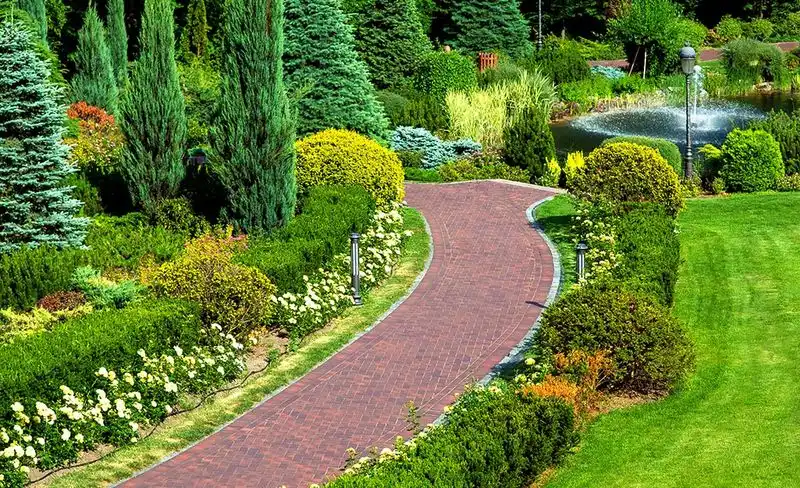 Clear Pathways