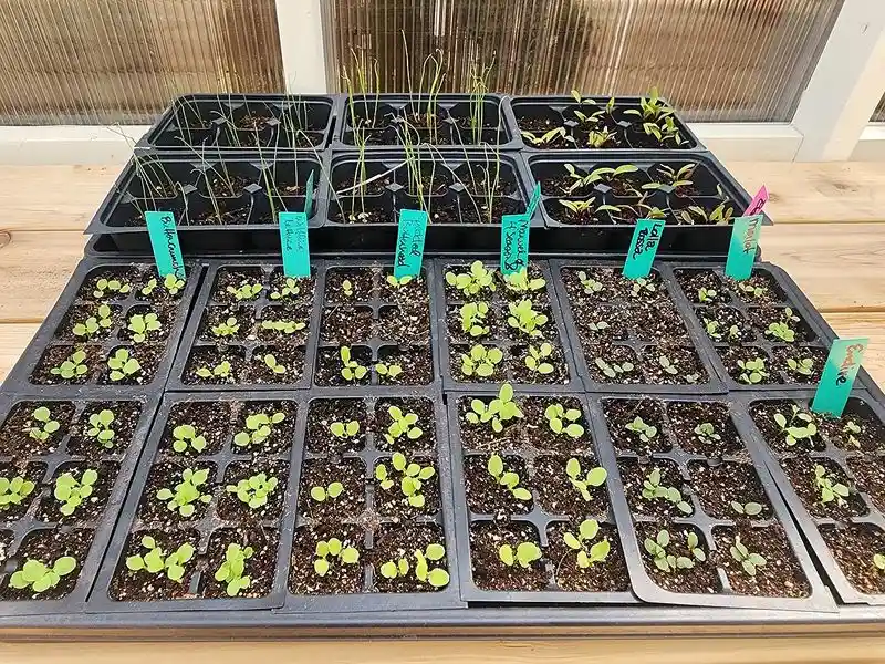 Plan for Fall Crops