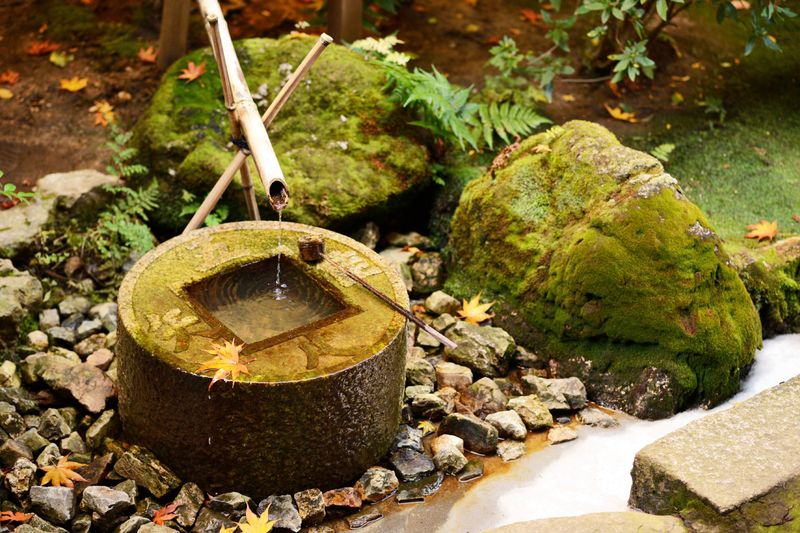 Moss-Covered Stones