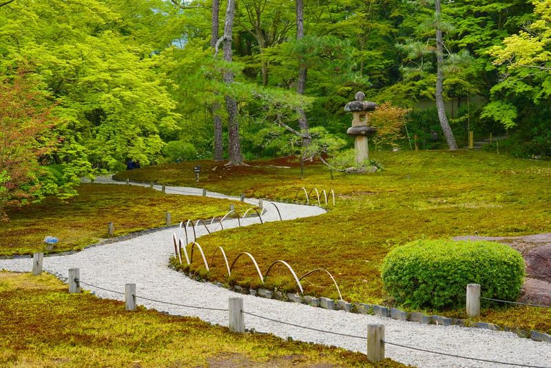 Moss Cultivation
