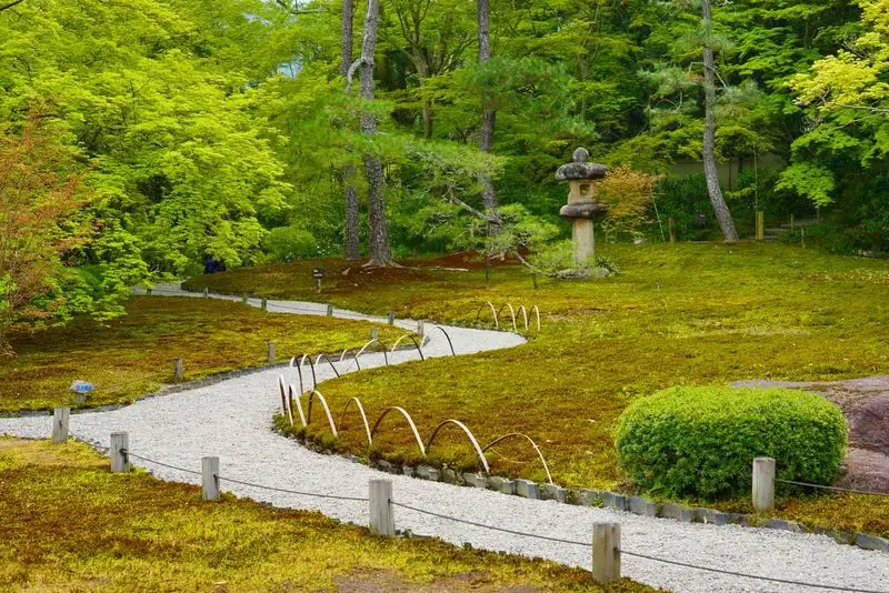 Moss Cultivation