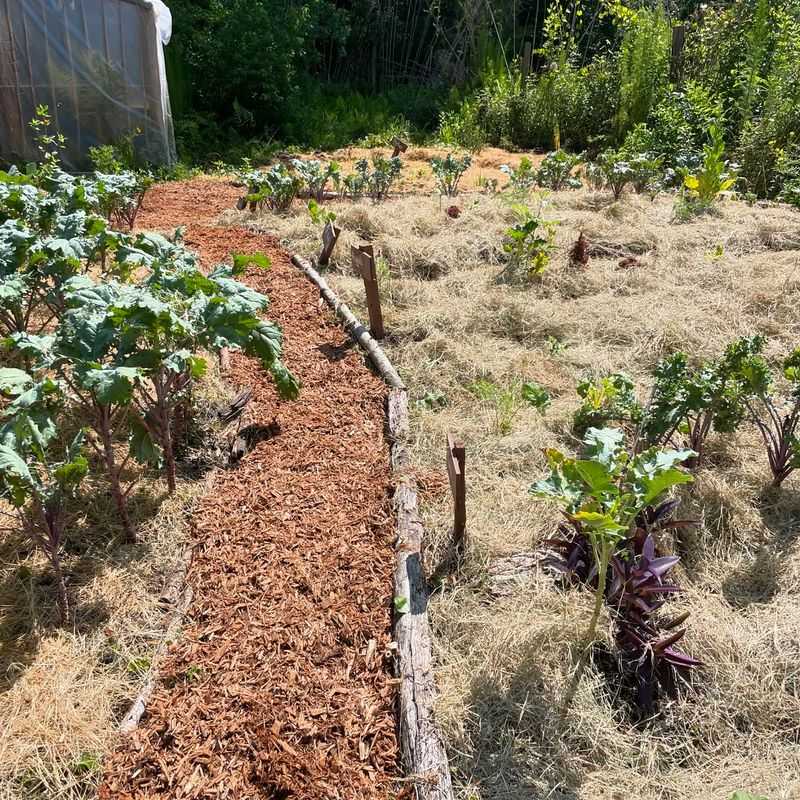 Mulch Must Be Bare