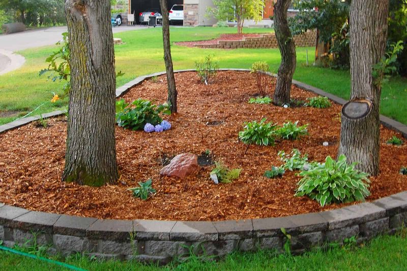 Mulched Garden Beds
