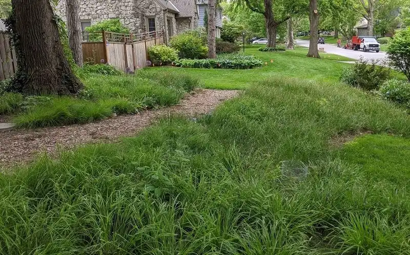 Mulching