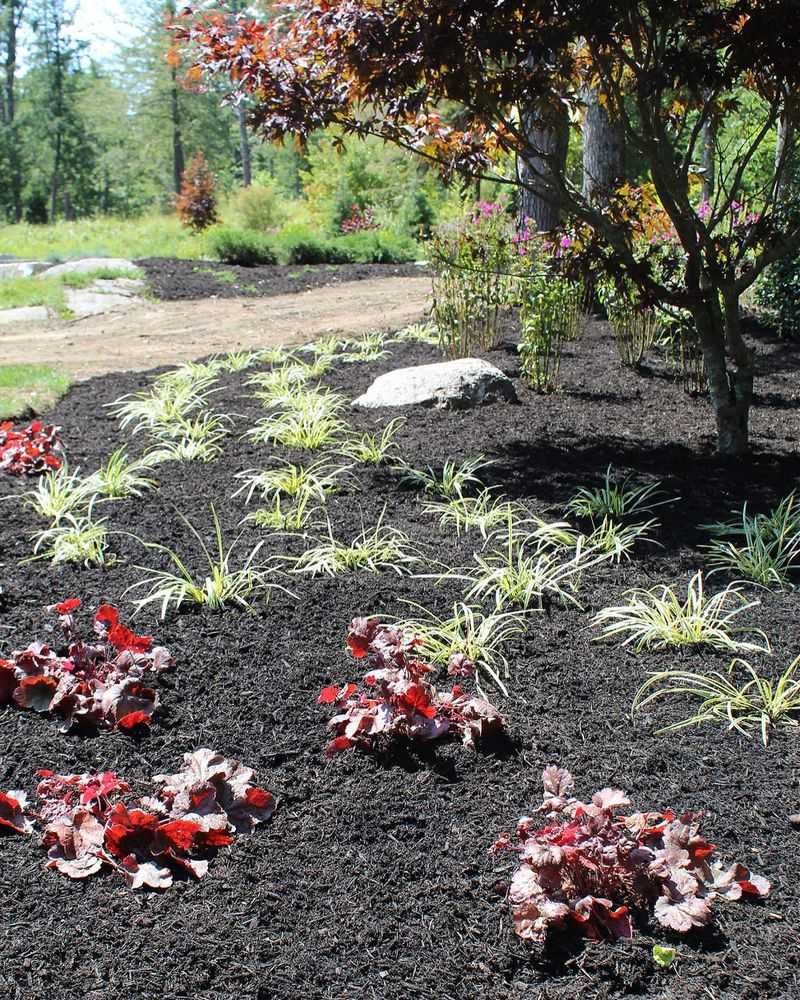Mulching Beds
