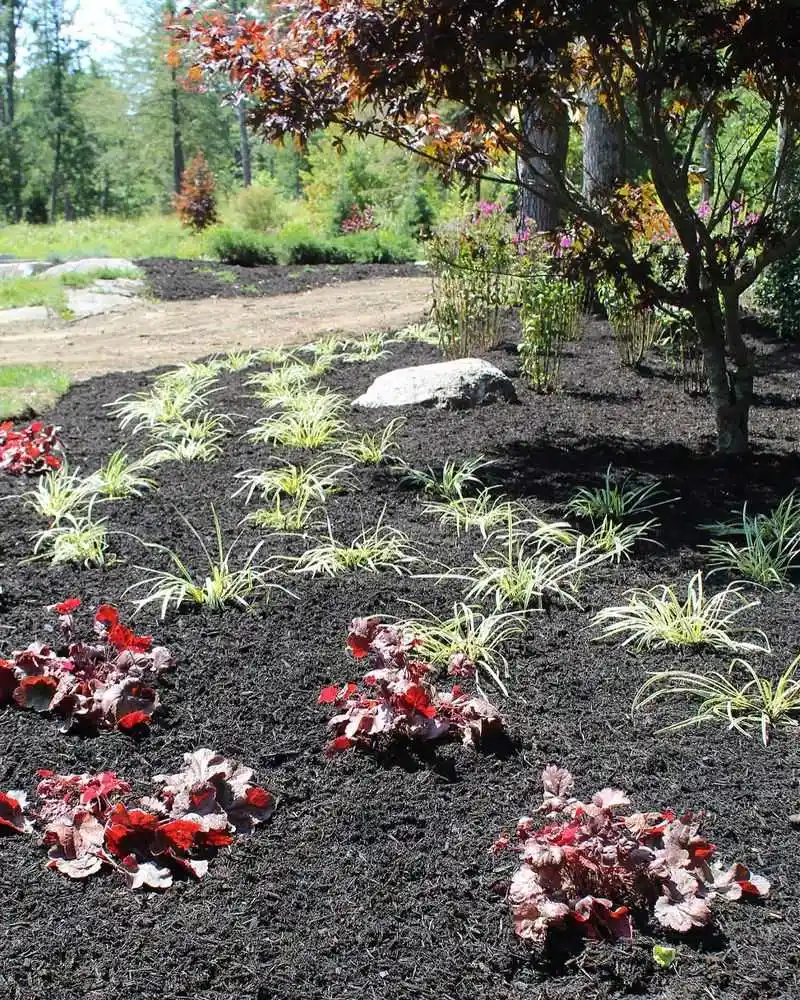 Mulching Beds