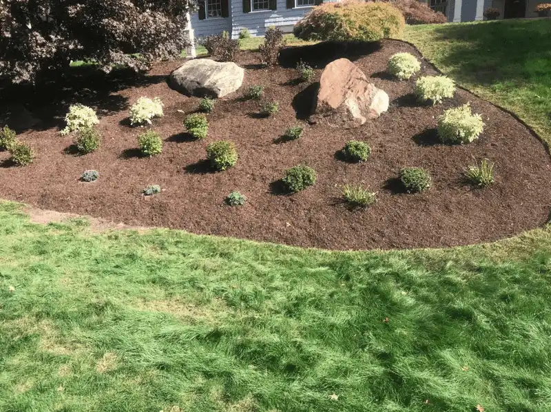 Mulching: Blanket of Benefits