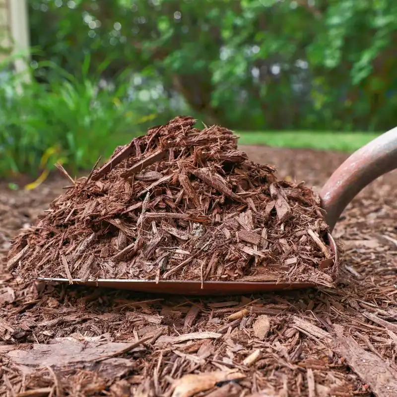 Mulching Magic