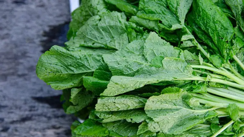 Mustard Greens