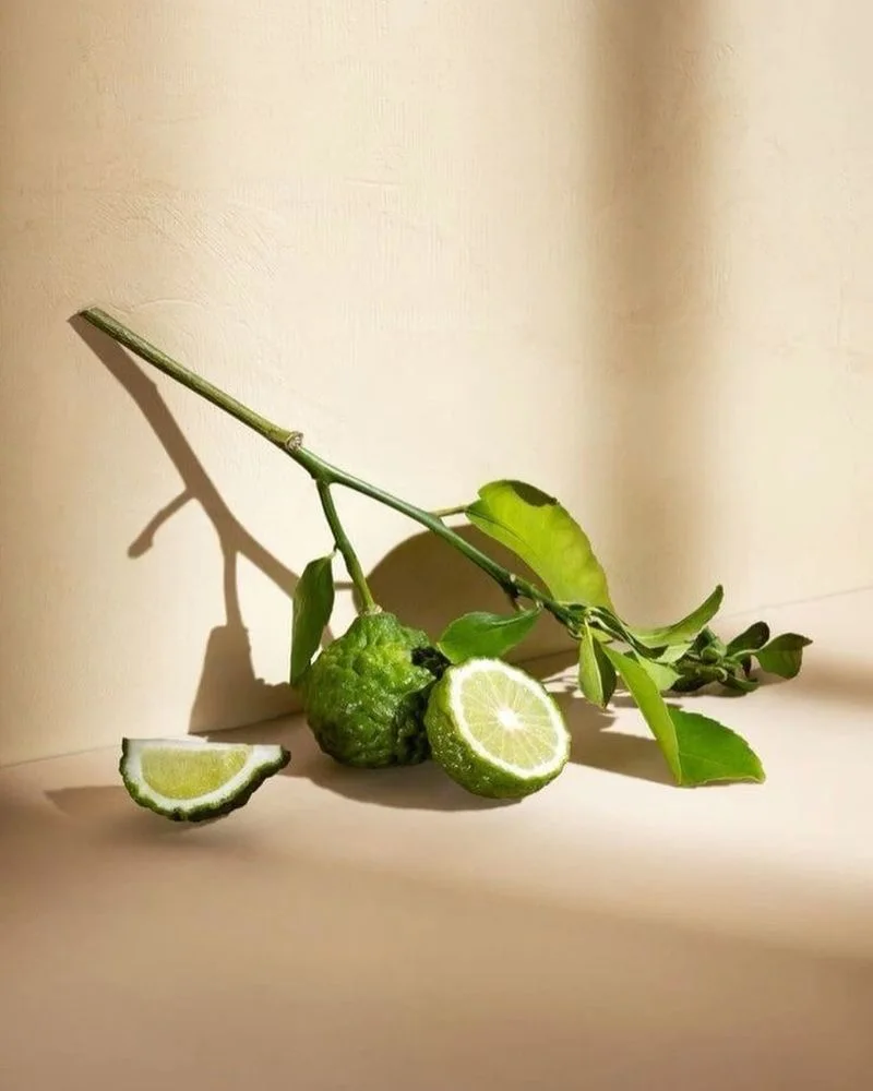 Mystery of Bergamot