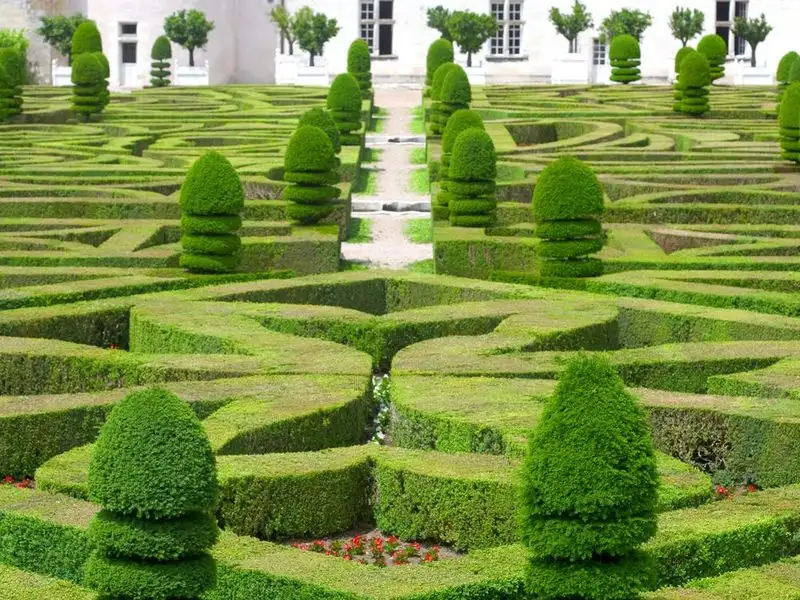 French Parterre Garden