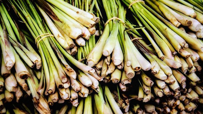 Natural Antioxidant