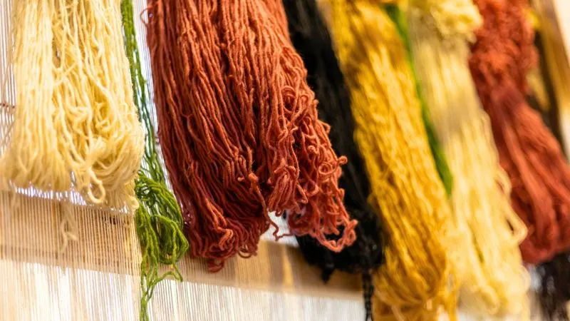 Natural Dye Source