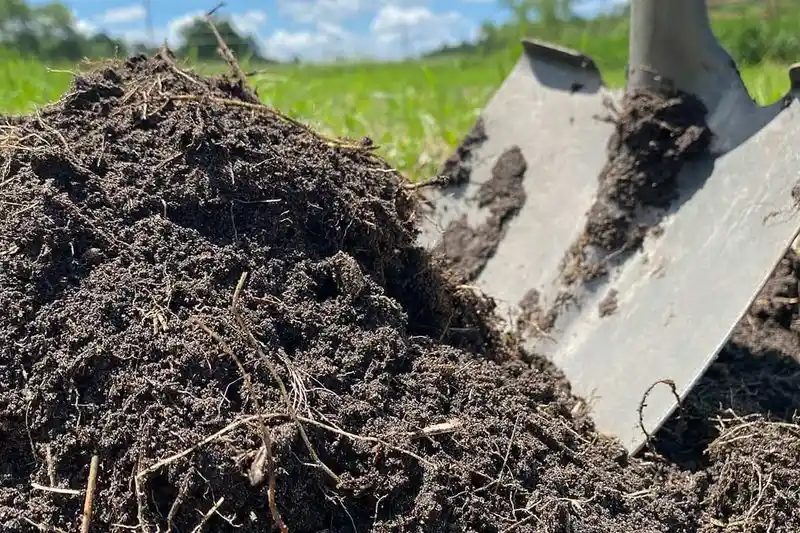 Natural Fertilizers