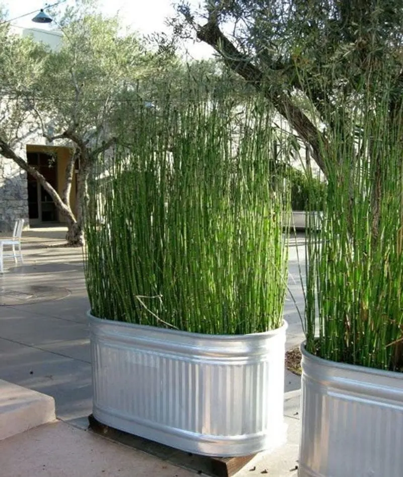 Natural Mosquito Repellent