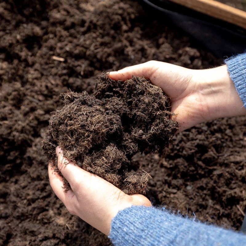 Soil Regeneration