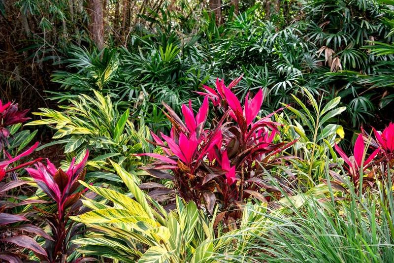 Natural Pest Control: Eco-Friendly Solutions