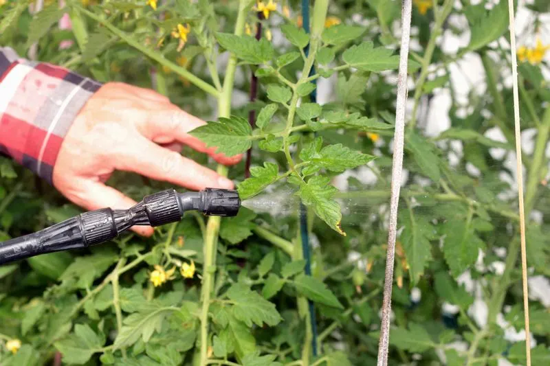 Natural Pest Control