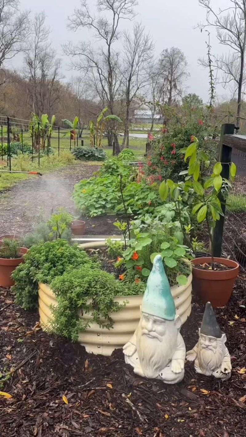 Natural Pest Deterrents