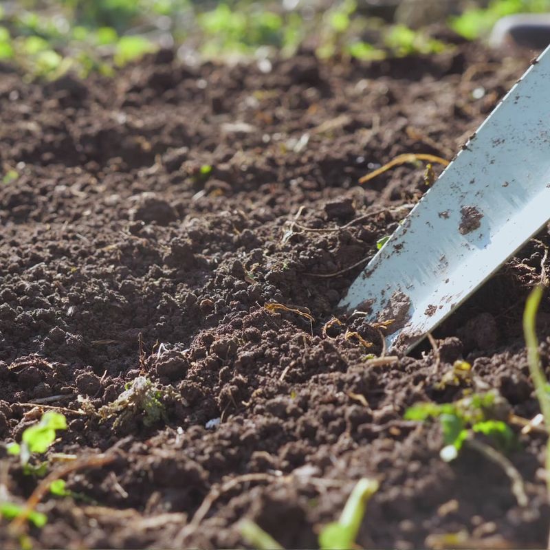 Natural Soil Enhancer