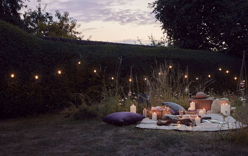 Twilight Picnic Spot