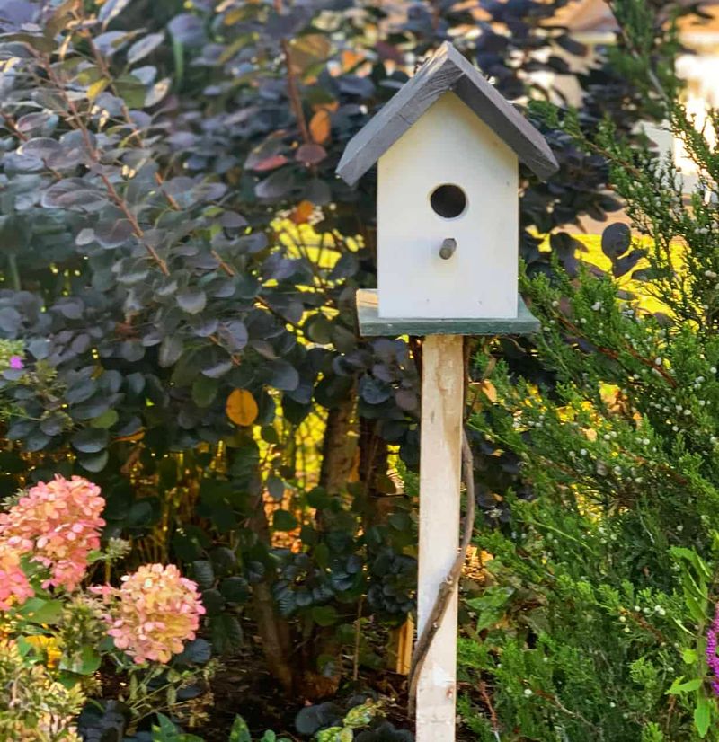 Birdhouses