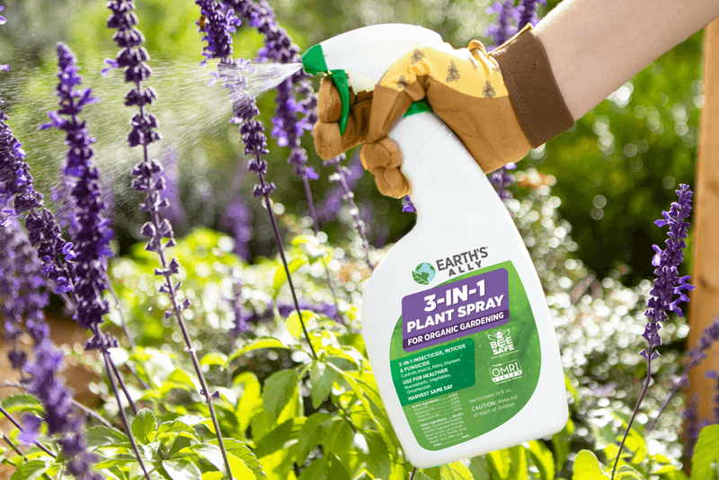 Neem Oil Sprays