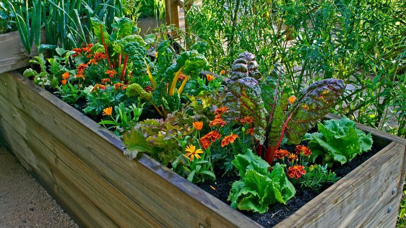 Neglecting Crop Rotation