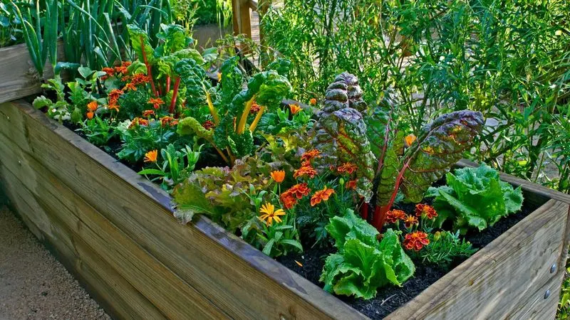 Neglecting Crop Rotation