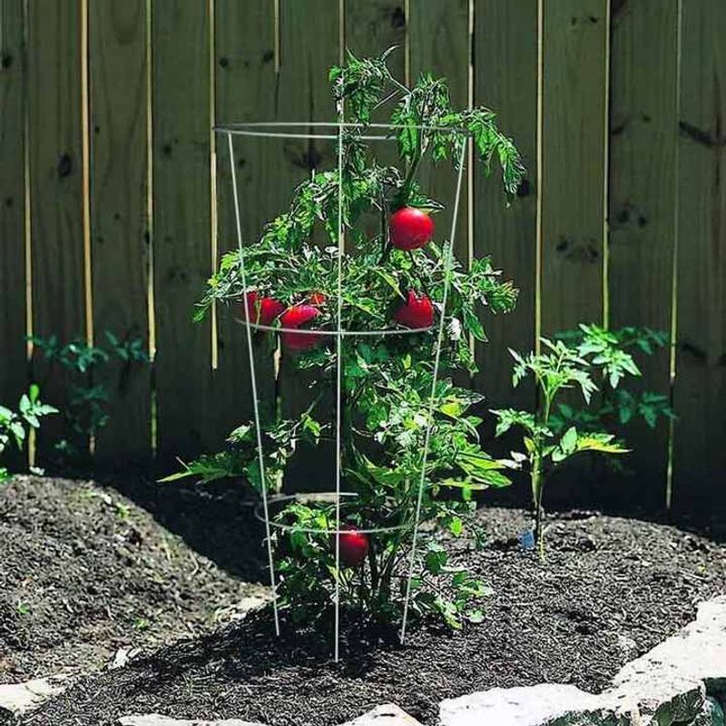 Ignoring Plant Support