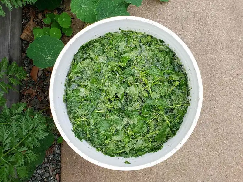 Organic Fertilizer