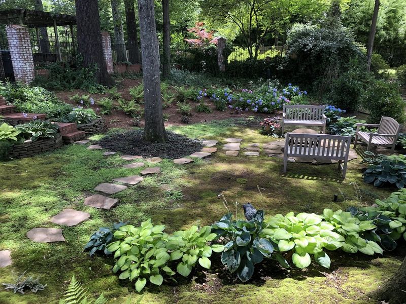Shade Garden