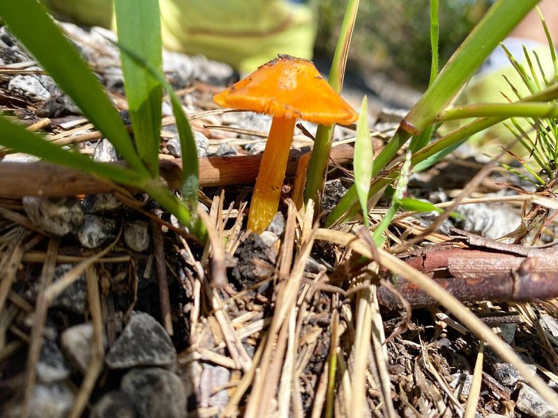 Nutrient Cycling Partners