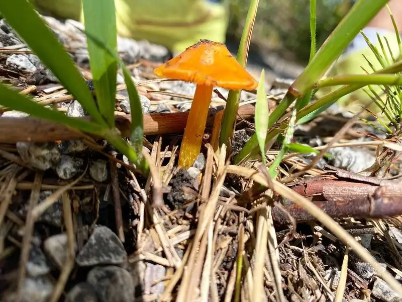 Nutrient Cycling Partners