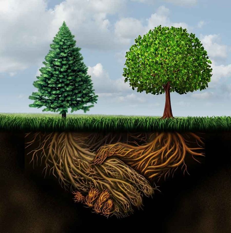 Nutrient Sharing
