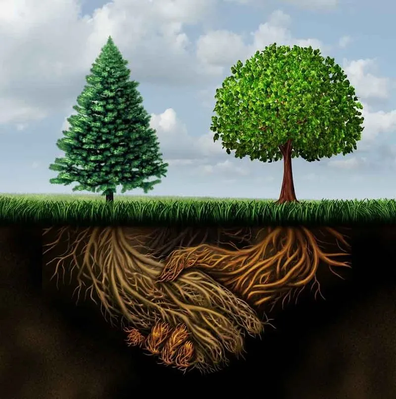 Nutrient Sharing