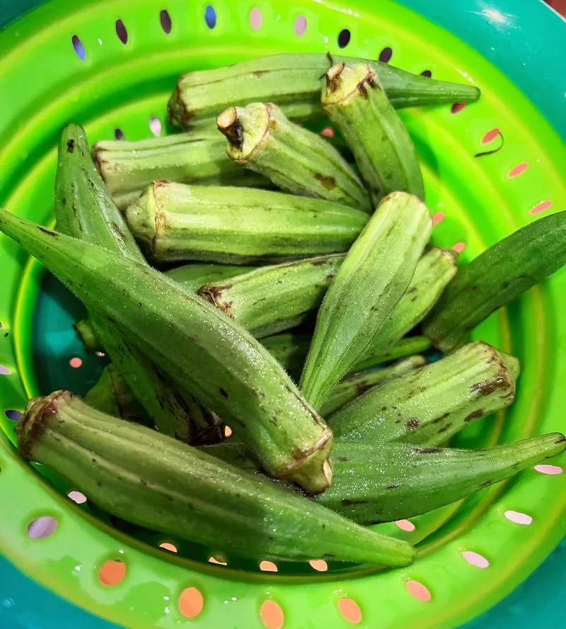 Okra