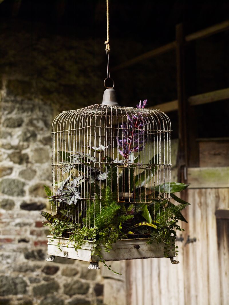 Vintage Bird Cage Planter