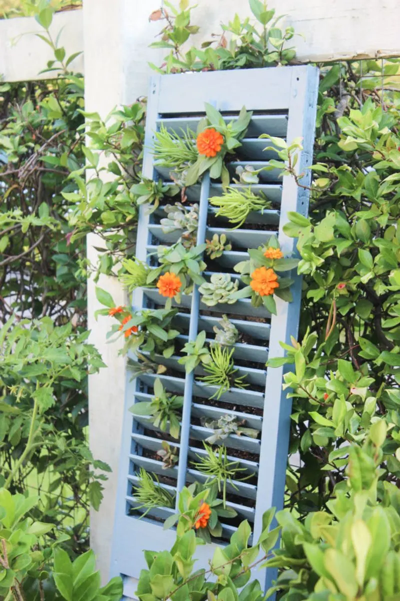Old Shutter Trellis