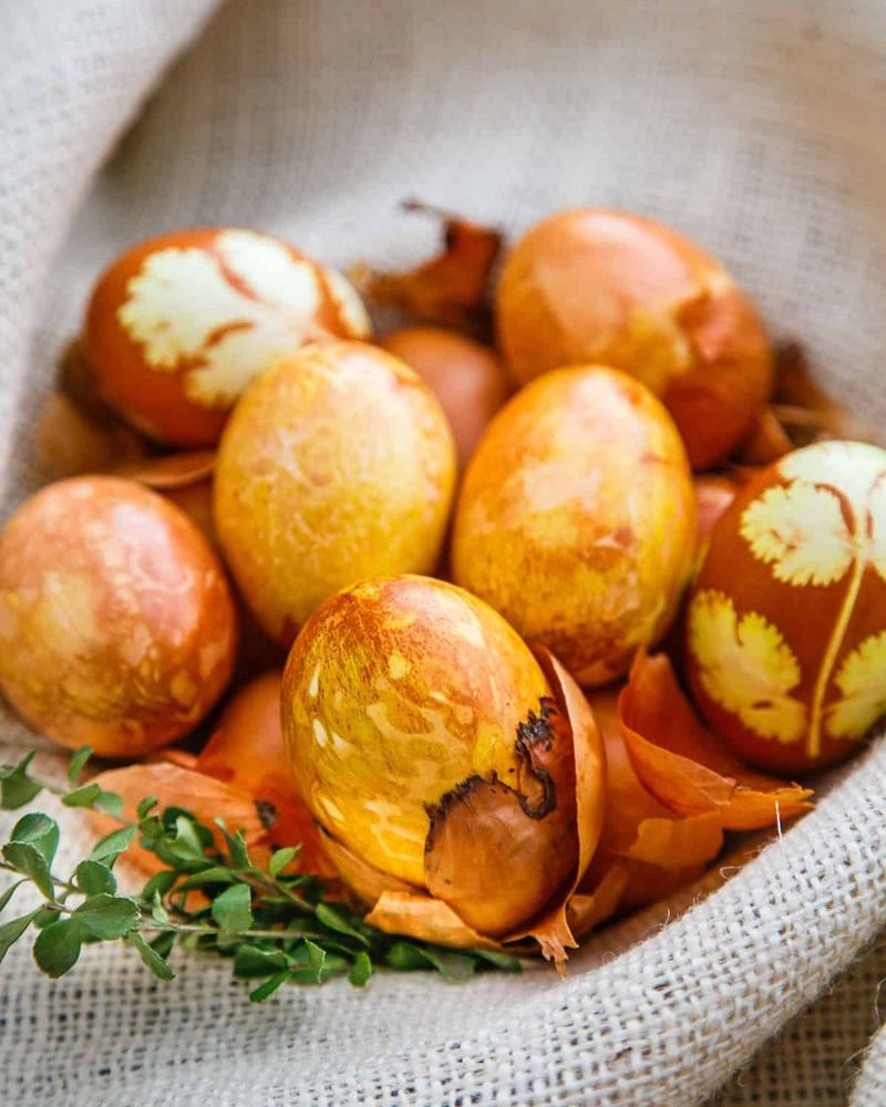 Onion Skins