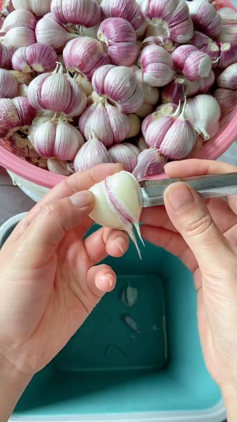 Onions and Garlic