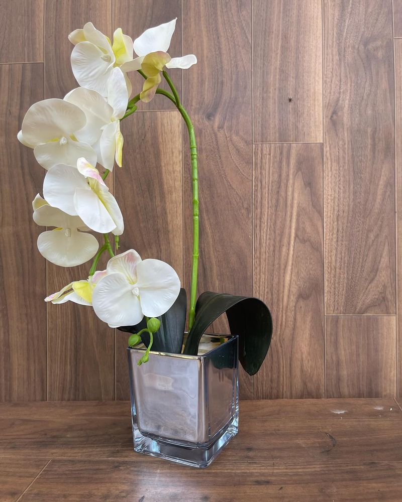 Orchid