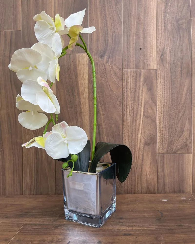 Orchid