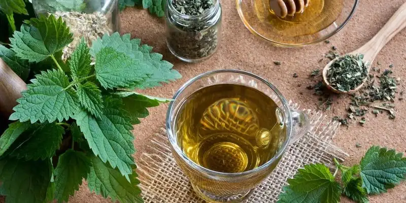 Herbal Tea