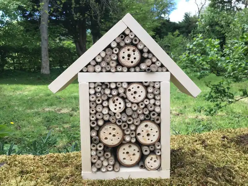 Use Solid Backing