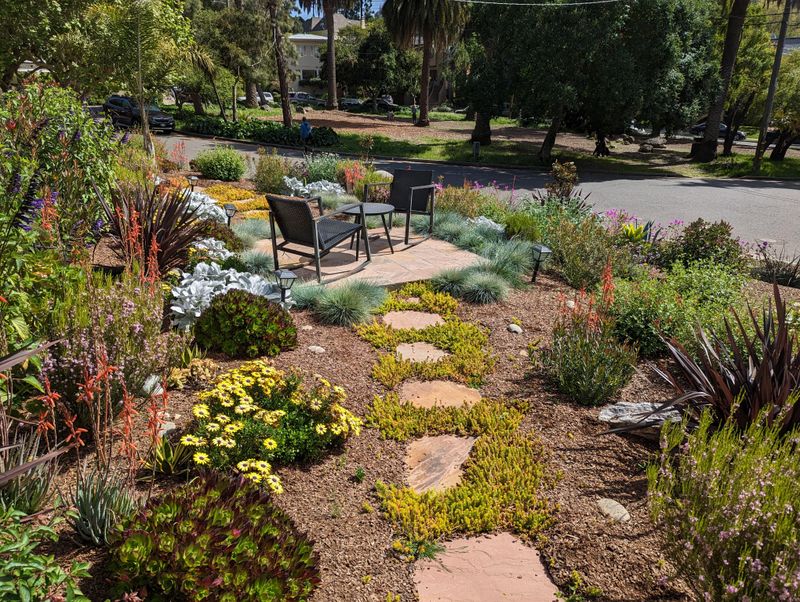 Water-Wise Garden