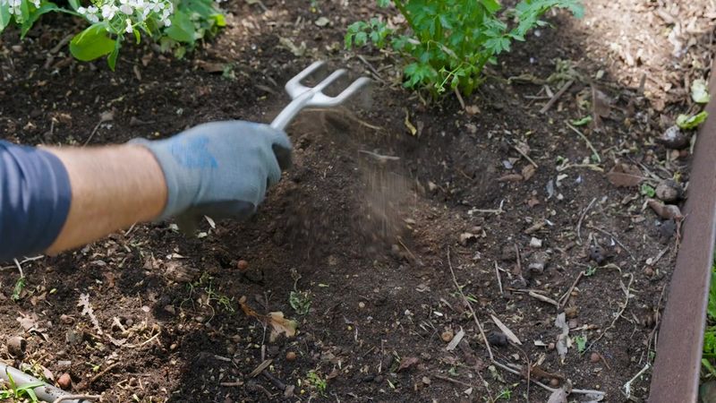 Over-Mulching