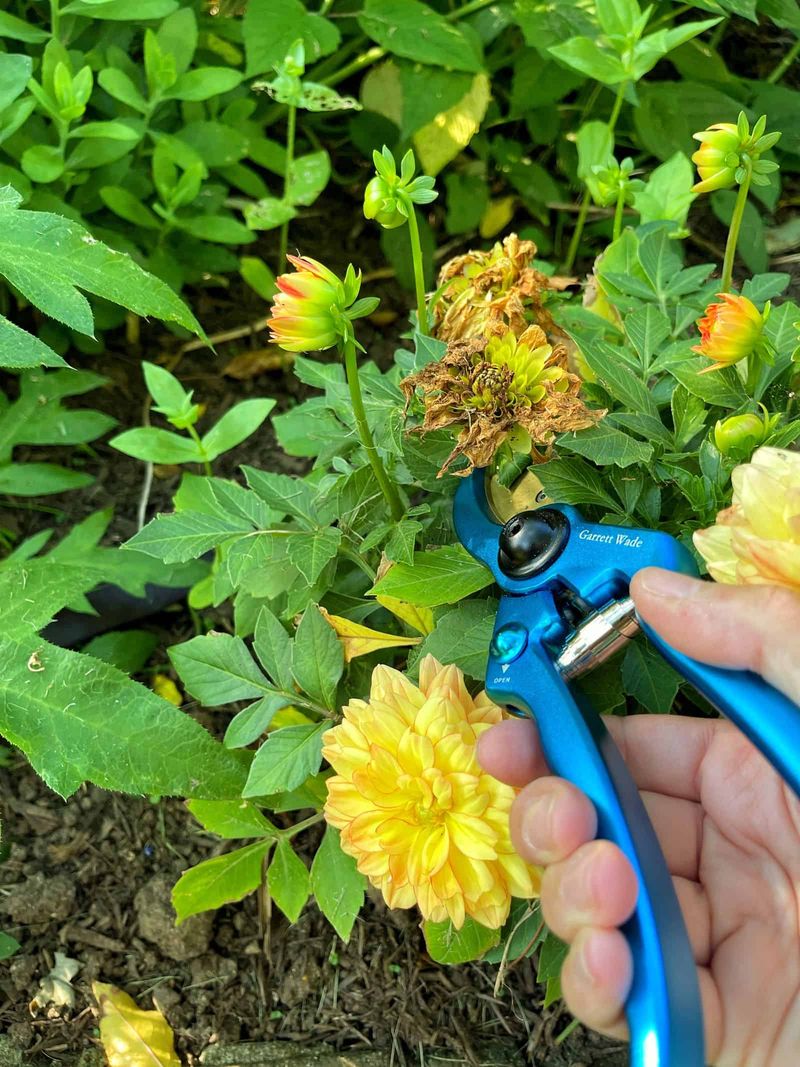 Ignoring Deadhead Maintenance